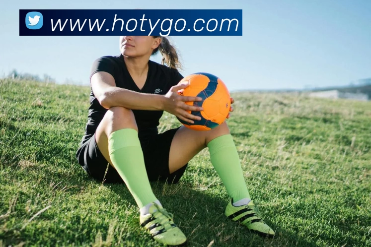 海鸥体育平台生态图